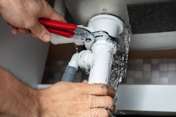 Best Water damage restoration insurance claims  in Celina, TN
