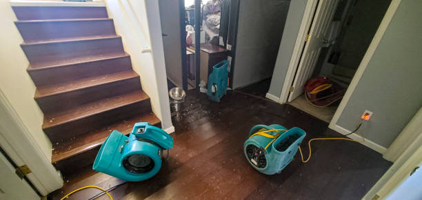 Best Water damage restoration near me  in Celina, TN