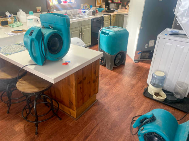 Best Water damage restoration mold remediation  in Celina, TN