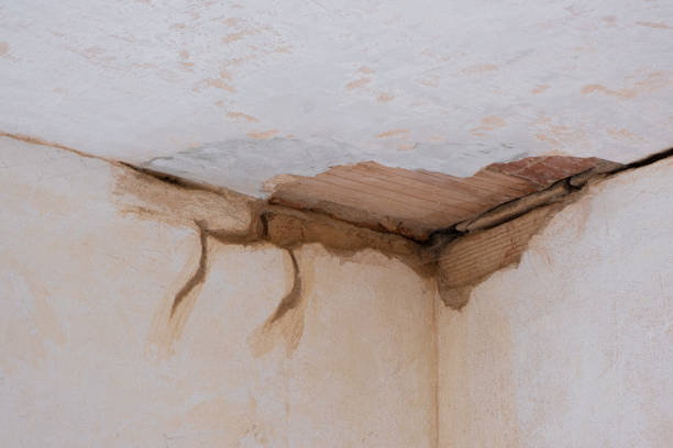 Best Carpet water damage restoration  in Celina, TN