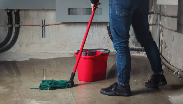 Best Water damage cleanup near me  in Celina, TN