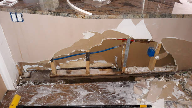  Celina, TN Water damage restoration Pros