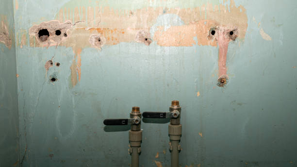 Best Flooded house restoration  in Celina, TN