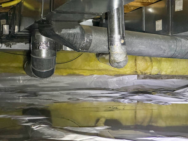Best Fire Damage Restoration  in Celina, TN