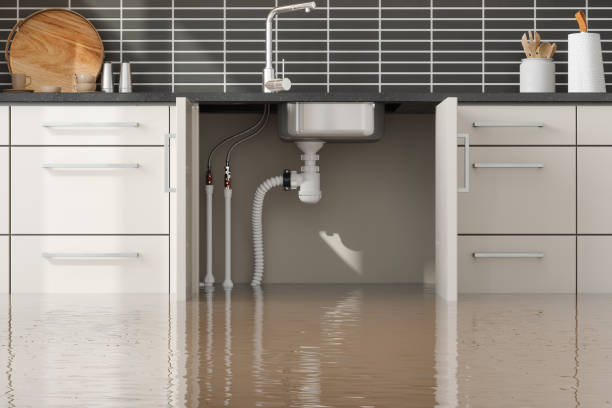 Best 24/7 water damage repair  in Celina, TN