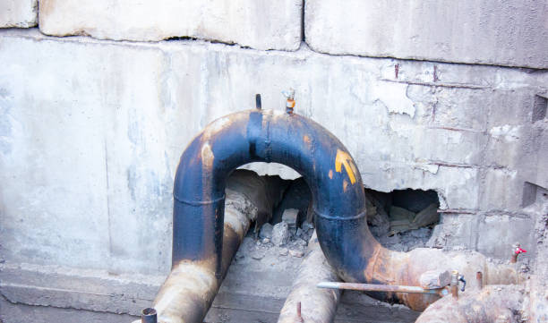 Best Carpet water damage restoration  in Celina, TN