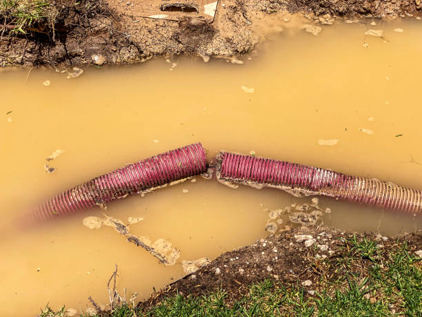 Best Water damage restoration company  in Celina, TN