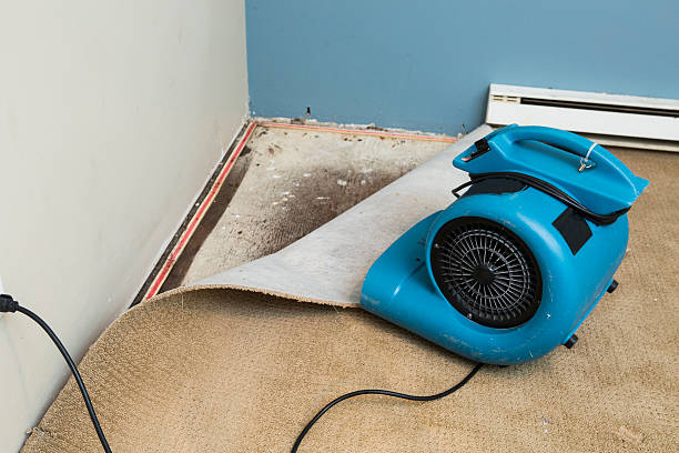 Best Emergency water damage restoration  in Celina, TN